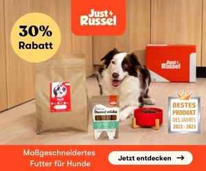 Just_Russel_Erfahrungen